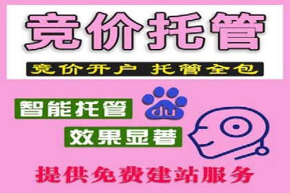 百度SEM代运营成功案例：助力企业拓展市场